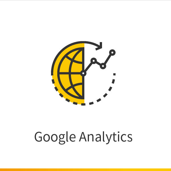 Google Anylytics